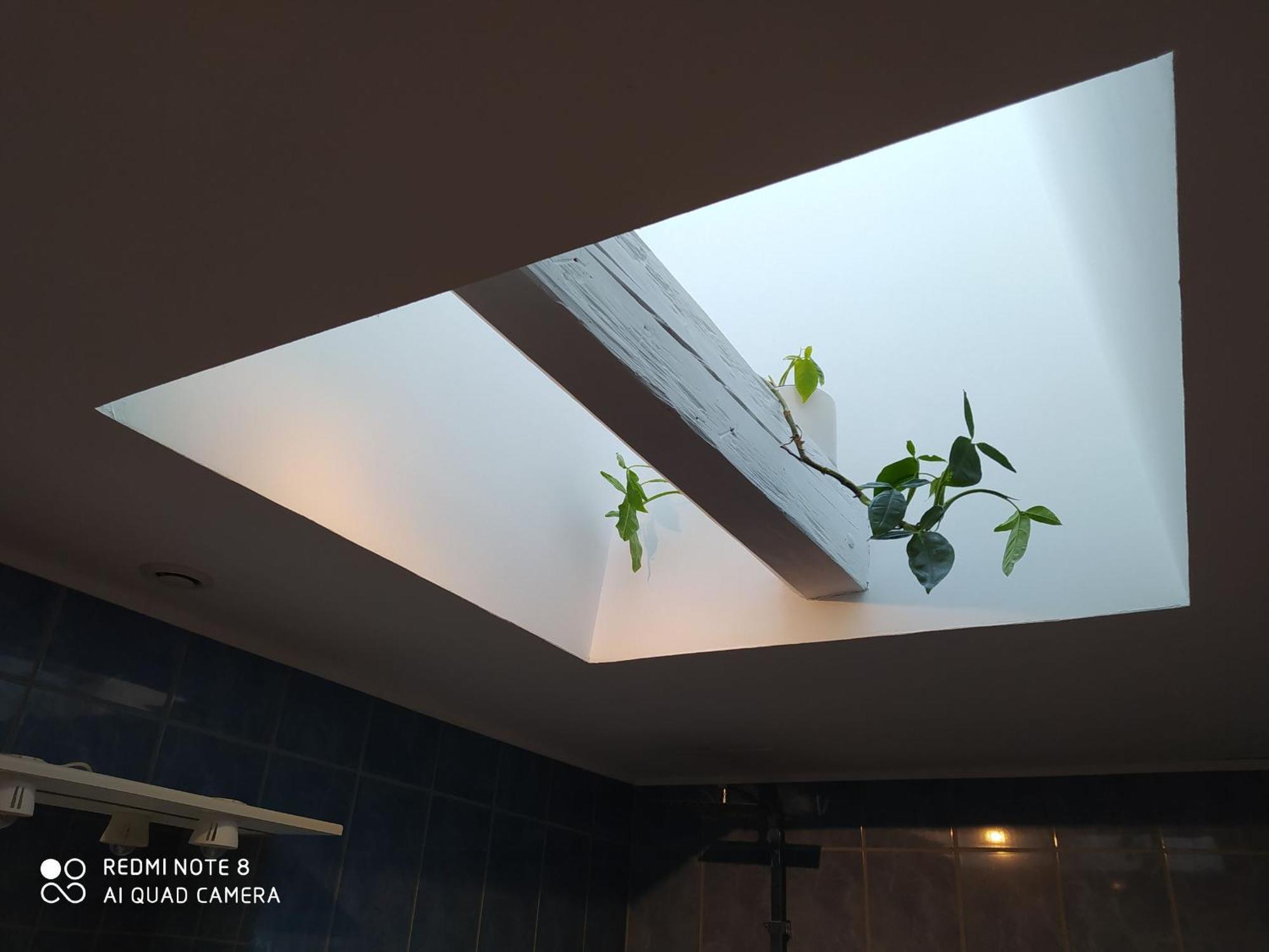 Gite Calme 4 Chambres, Terrasse Privative, Draps Inclus - Germonville - Fr-1-584-167 Zewnętrze zdjęcie