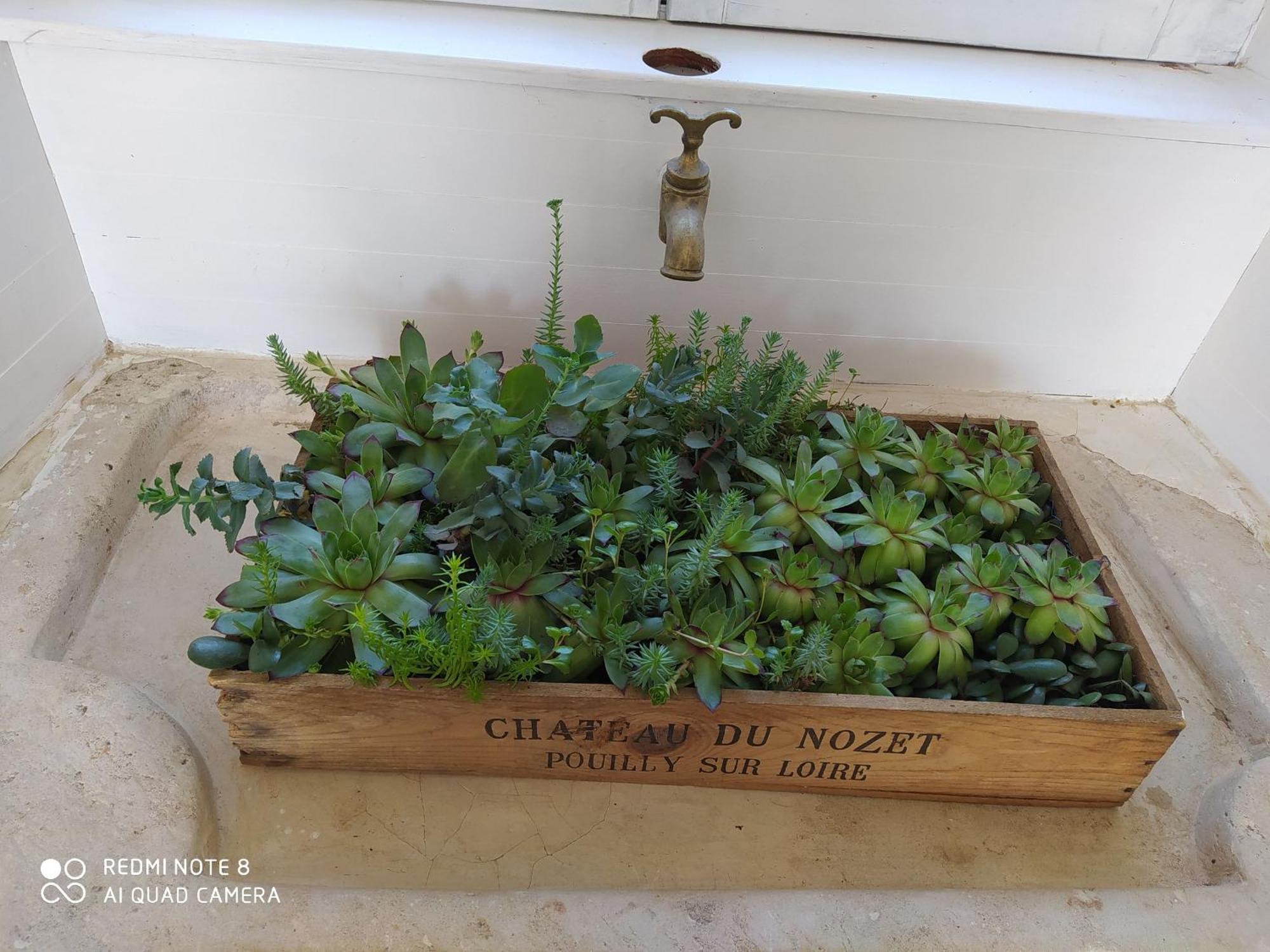 Gite Calme 4 Chambres, Terrasse Privative, Draps Inclus - Germonville - Fr-1-584-167 Zewnętrze zdjęcie