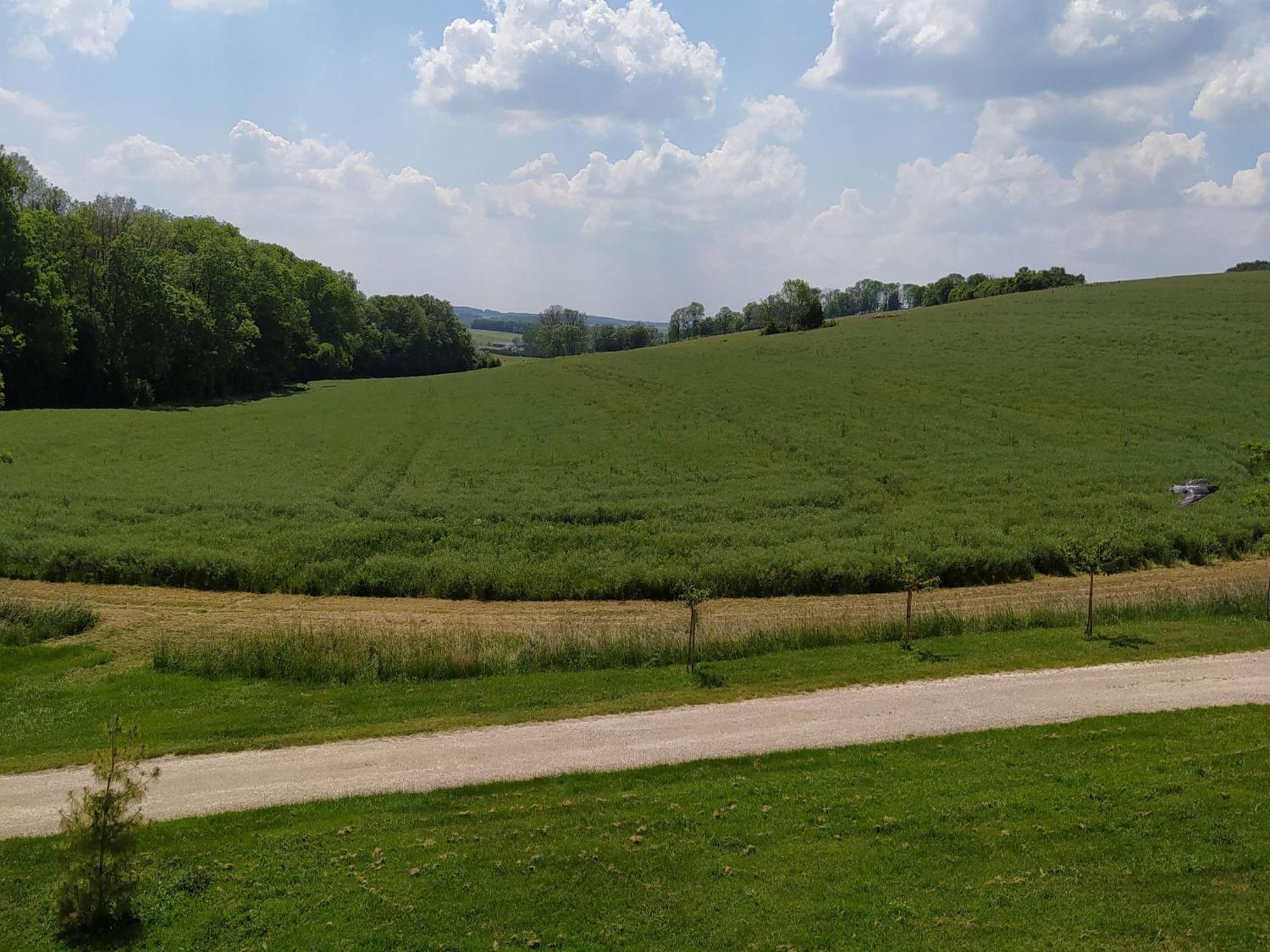 Gite Calme 4 Chambres, Terrasse Privative, Draps Inclus - Germonville - Fr-1-584-167 Zewnętrze zdjęcie